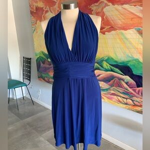 Evan Piccone Cocktail Dress 10P